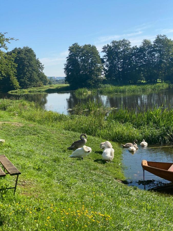 Idyllische Ferienwohnungen In Mossendorf Blick Zur Naab Burglengenfeld Kültér fotó